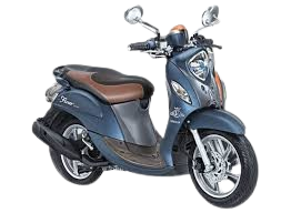 Super 134 Fino Style